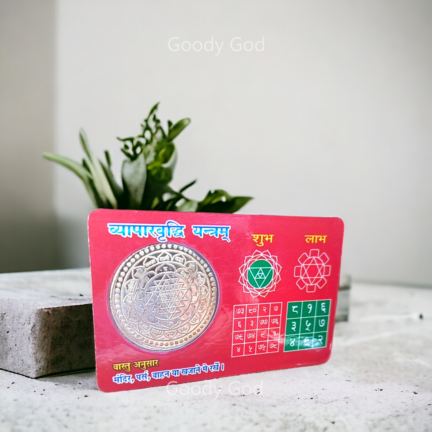 Goodygod Lakshmi Ganesh Coin Card